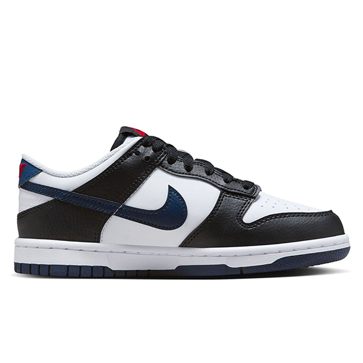 Solewhat Nike Dunk Low (Grade School) - Main Image